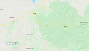 Image result for Blotiella bouxiniana