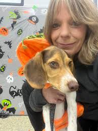 Zeus' 8th Birthday and Forever Home Wish