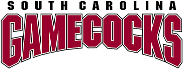 Quality, inexpensive computer repair and professional website design Check Out These Great Ways To Stream Live Games Of South Carolina College Football
