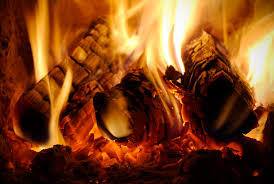 This wood is a type of not so tight that it burns hard and not so soft that wood burning pen slips into the wood and creates a dent. The Best Wood To Burn For Heat Ingrams Water Air