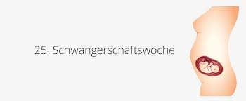 We did not find results for: 25 Ssw Schwangerschaftswoche Baby Gewicht Grosse In 25 Ssw