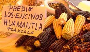 La Jornada Del Campo Alimentos Jornada Alrededor De Los Mundos