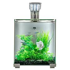 Betta fish tank unboxing and review top fin bettaflo soothe 3 5 gallon aquarium. Coming Soon Acuario Compras Animales