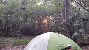 Maybe you would like to learn more about one of these? Best Camping Near St Petersburg Florida The Dyrt