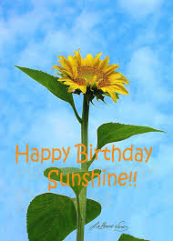 I thought of the perfect gift for you. Happy Birthday Sunshine Digital Art By Lizi Beard Ward