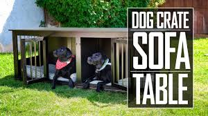 Maybe you would like to learn more about one of these? How To Calm Your Dog During Fireworks And The 1 Thing Guaranteed Not To Work Patchpuppy Com