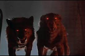 Don T Bite The Hand That Feeds You Gif Https Encrypted Tbn0 Gstatic Com Images Q Tbn 3aand9gct919 Gadynuzsf63pavzhj8yotw Lonwa7ig Usqp Cau
