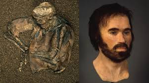 Northerner of the Day: Lindow Man (aka "Pete Marsh"), discovered in 1984  and preserved in Lindow Moss, a Cheshire peat bog, is cited as possible  evidence of ritual killing. He is thought