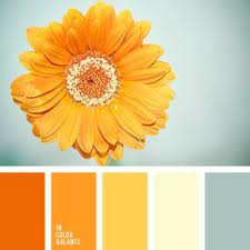 Amarillo Anaranjado Amarillo Azafranado Amarillo Claro Amarillo Naranja Amarillo Palido Amarillo Vivo Ama Color Palette Yellow Color Schemes Design Seeds