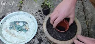 Call for a quote or visit one of our showrooms to view our range of premium products. 6 Ingenious Ways To Reuse Plant Pots
