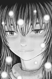 The arc is preceded by the falcon of the millennium empire arc and currently spans 54 episodes. No Context Berserk On Twitter Where Do You Rank Fantasia Arc So Far