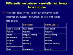 Approach To A Patient With Ataxia Patient Powerpoint Presentation Neuro