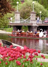 Boston Public Gardens Swan Boat Tulips Boston Public Garden Public Garden Boston Public