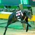 First Shakey Jakey Pup Debuts At  Townsville