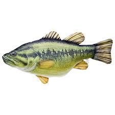I quickly put it back in the pond so it can chase those poor bluegills and crappies around again. Gaby The Largemouth Bass Medium Green Buy And Offers On Waveinn