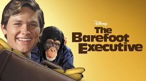 The Barefoot Executive Reviews