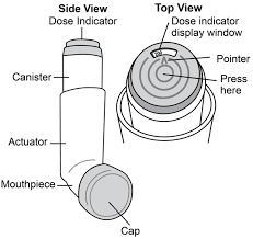 We did not find results for: Albuterol Sulfate Inhalation Aerosol With Dose Indicator