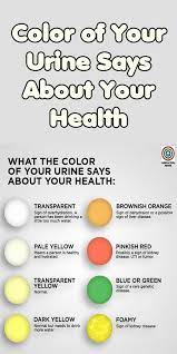 Color Of Your Urine Says About Your Health Health Chart Health Wellness Formula