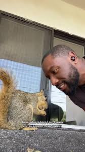 Maxine just had more babies and now she back out here in these nibble  streets. Such a lady!!! I’m a grandpa all over again!!! #squirrels  #hotsquirrelsummer