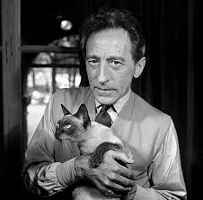 des artistes celebres photographies avec leurs chats chat celebre j aime les chats chat
