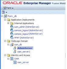 Monitoring Performance And Logs With Fusion Middleware Control
