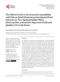 Image result for Vernonia nepetifolia