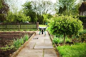 Dig to clear overgrown weeds How To Clear Garden Waste With Less Cost Snappy Rubbish Removals