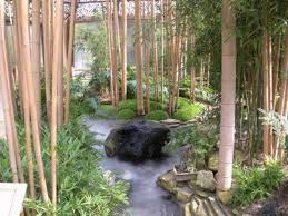 These bamboo garden design ideas will help you make a fantastic ornamental exterior design. Bamboo Garden Design Ideas Zen Garden Design Garden Decor Ideas Small Backyard Gardens Easy Garden Ideas Landscaping Bamboo Garden