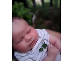 Destinii Hope Obituary (2024)