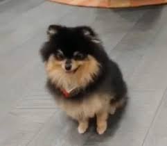 ﾟᴍɪʟᴋᴍɪʟᴋᴍᴏᴛᴇʟs