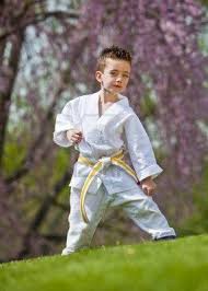 Young Boy Practicing Martial Arts Outside In Spring Martial Arts Family Posing Martial