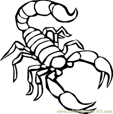 Scorpion, arachnid 4.snake, reptile 5. Reptile Coloring Page 05 Coloring Page For Kids Free Scorpion Printable Coloring Pages Online For Kids Coloringpages101 Com Coloring Pages For Kids