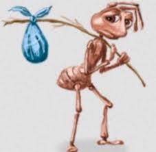 Ant holding stick with bag