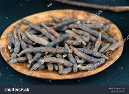 Image result for Xylopia aethiopica