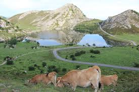 Reserva tu hotel en somiedo con expedia y paga después. Casas Rurales Con Encanto Para Tus Rutas De Senderismo Por Asturias