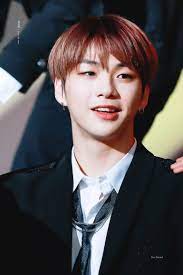 Kpop Idols Who Only Raised By A Single Parent Vanbun
