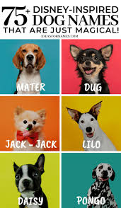 Or view movies dog names for boys instead. 75 Disney Inspired Dog Names That Are Absolutely Magical Disney Disneypets Disneylover Disneyfan Doglover Funny Dog Names Disney Boy Dog Names Dog Names