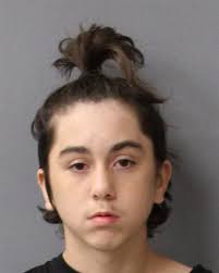 NOT A FAN OF POSTING MINOR MUGSHOTS😬😬 VCSO has released the information  of the persons responsible for the vandalism of Friendship Elementary,  identifying 12-year-old Felix Cohen Romero and 13-year-old Bentley Ryan  Wehrly