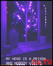Aqui você vai encontrar aesthetics de várias cores para usar do jeito que quiser Wallpaper Backgrounds Vintage Wallpaper Backgrounds Aesthetic Dark Purple Wallpa Asthetische Farben Lila Asthetik Lila Tapeten