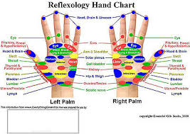 Wooden Roller Reflexology Health Thai Full Body Massage