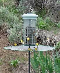 The Seed Hoop Seed Catcher And Platform Bird Feeder Bird Feeders Platform Bird Feeder Bird House Feeder