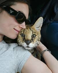 from our drive home yesterday. we're thankful she does so well in the car!  She gets sick sometimes but not often, and once we get some ac blowing it  usually helps 🥰