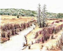 Coal Lake South Campground - Wetaskiwin, Alberta