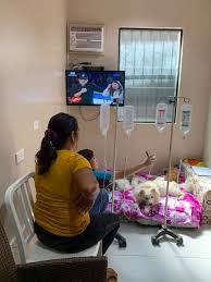 The family pet clinic of redondo beach is a member and recommended veterinary clinic of the bulldog club of america. The Family Pet Veterinary Hospital Off 78 Www Usushimd Com