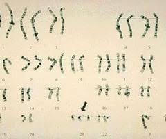 Synthesis gizmo answer key rna and protein. Eziv7dslkkcrwm