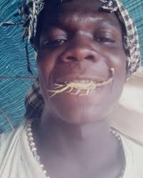 Meet Alexander Gabriel, the fearless eater of scorpions, snakes, raw meat  Meet Wau's very own daredevil, Alexander Gabriel, aka Mido. This  31-year-old sensation is renowned for his fearless consumption of unusual  foods,