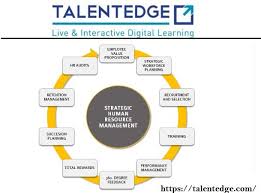 Human Resource Managements Degree Resource Management Human Resource Management Management Degree