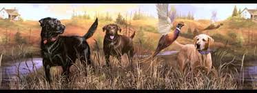 Adopt a pet at the oregon humane society in portland. Kylers Field And Marsh Kennels Breeder Of Gsp S And Labs Home Facebook