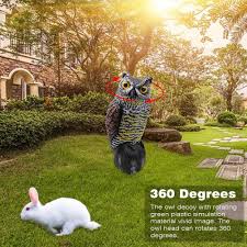 Owl solar light with led panel fake waterproof garden lights ornament animal bird outdoor lamps. Scarecrow Owl Decoy Statue Realistic Fake Owl Hand Painted Garden Protector For Outdoor Pest Bird De Buy At A Low Prices On Joom E Commerce Platform