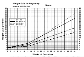 Five Little Known Facts About Pregnancy Weight Gain